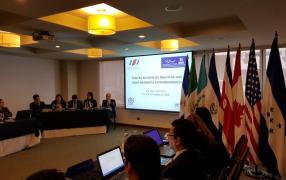 Ad-Hoc group on Extra-regional Migrants