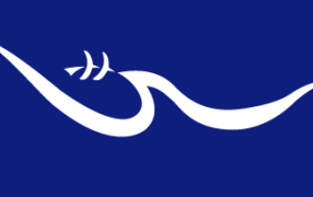 VIII Regional Conference on Migration