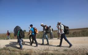 Counter-Smuggling of migrants