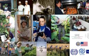 Regional workshop on labor migration governance