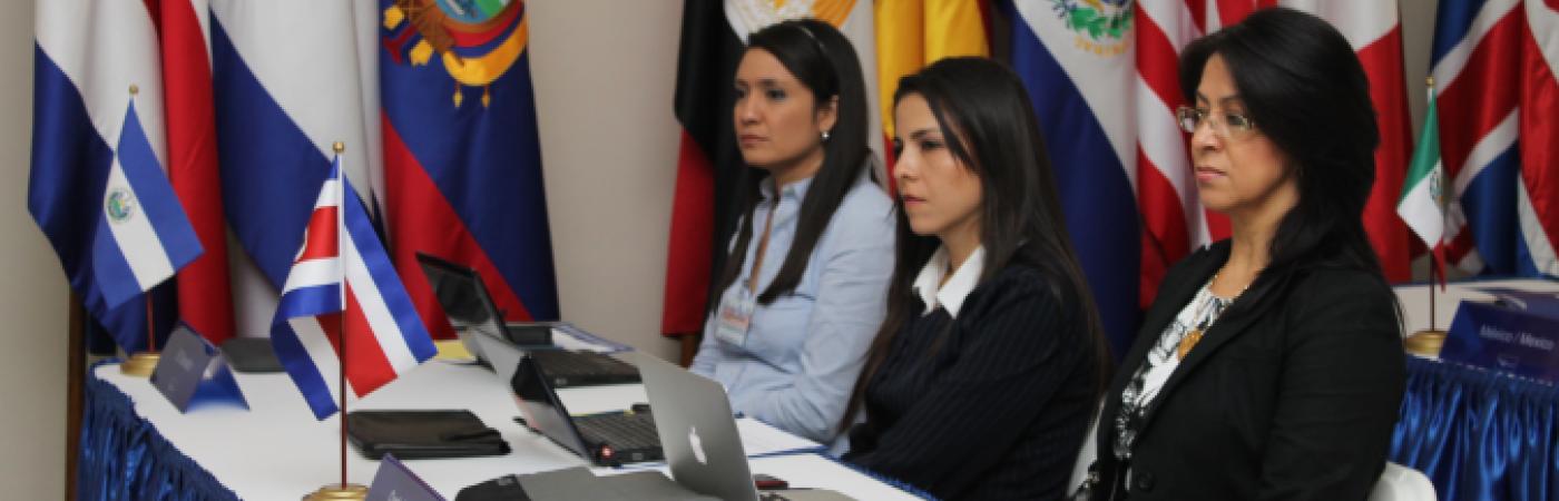 Grupo de Trabajo Ad-Hoc para Discutir, Analizar y Definir los Objetivos sobre el Tema de Flujos Migratorios Extra-Continentales en la Región 