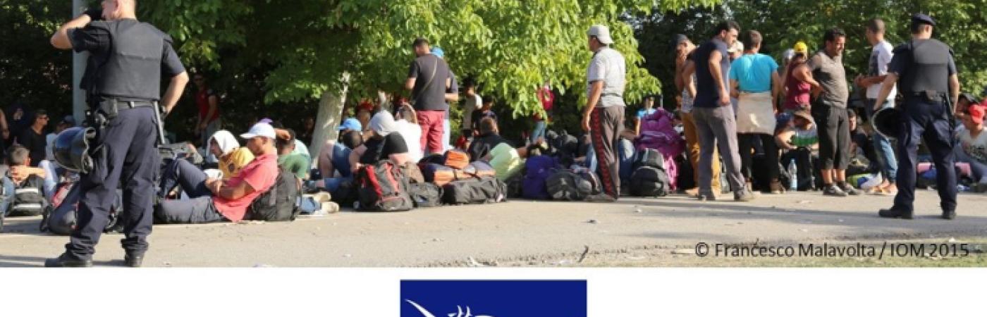 V Meeting of the Ad Hoc Group on Extra-Regional Migrants